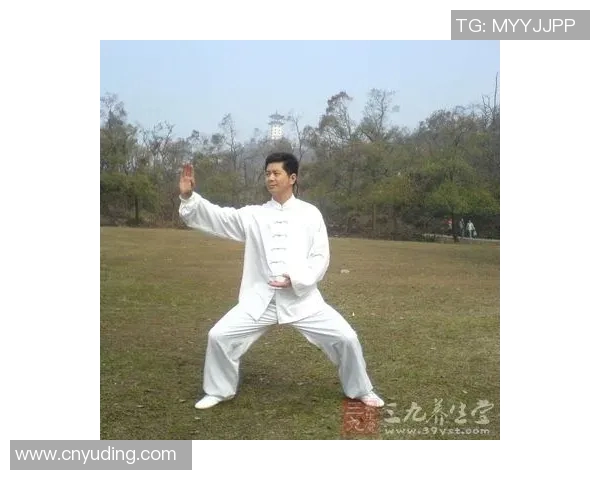 李德印42式太极拳全套详解与练习指南助你轻松掌握太极精髓