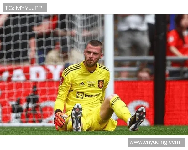 曼联官方确认签约热门新秀，引发球迷热议